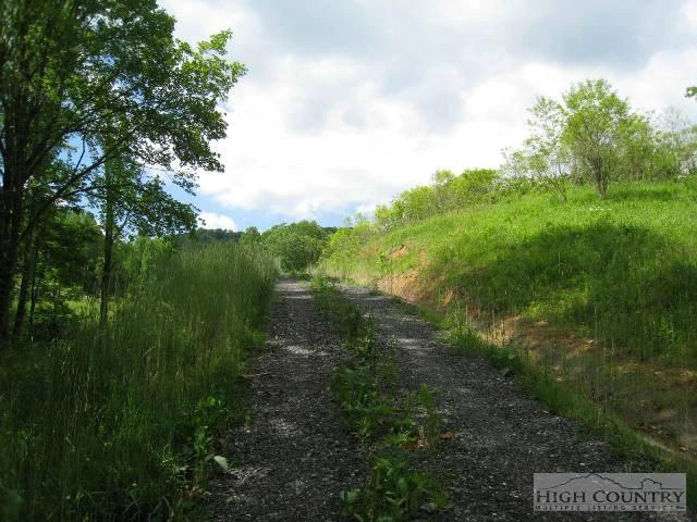 Image number 9 for the current listing