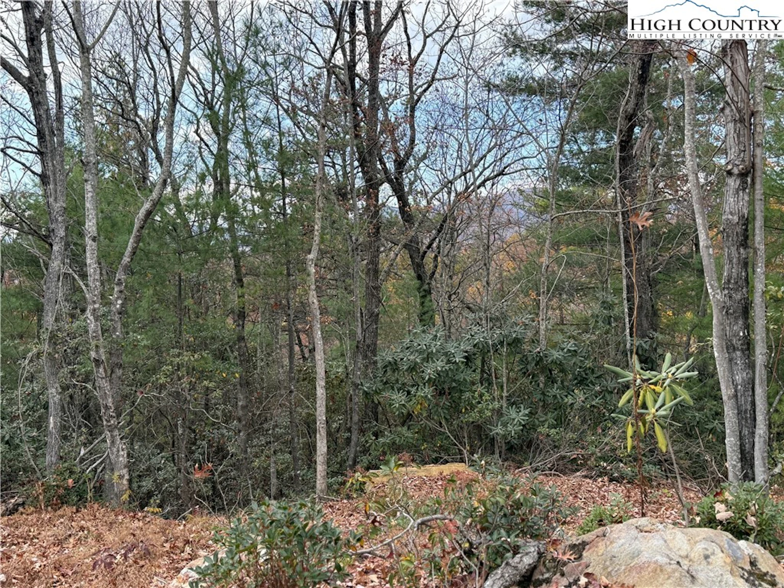 Image number 15 for the current listing