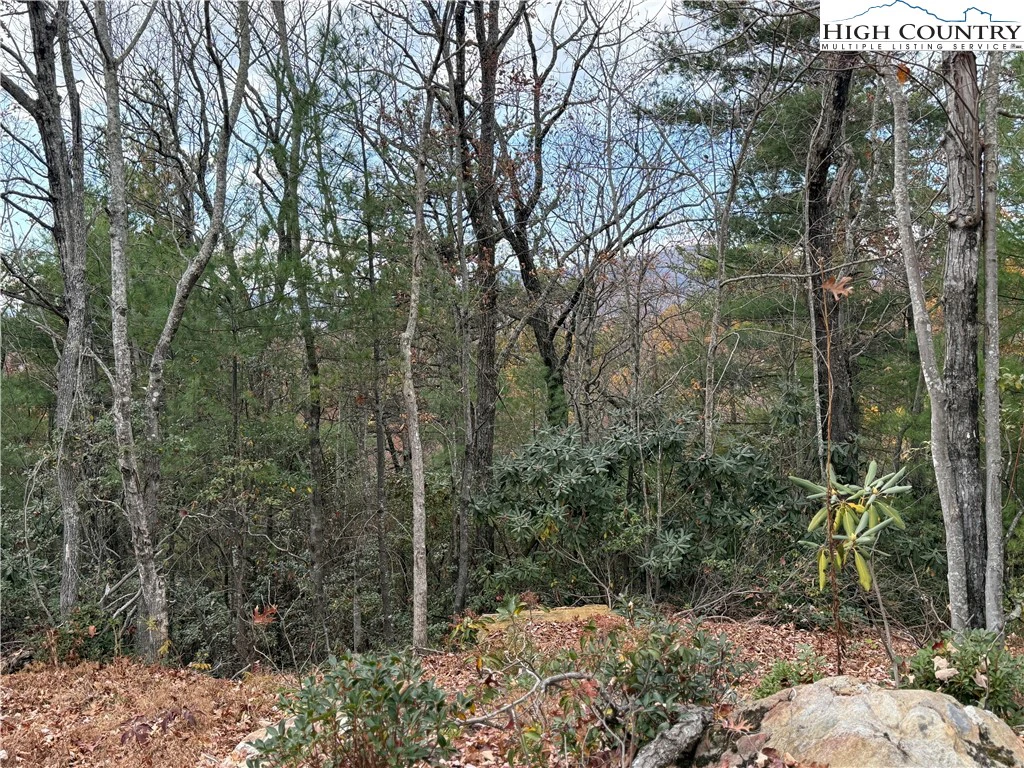 Image number 15 for the current listing