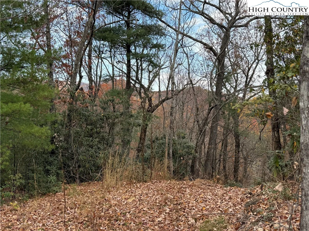 Image number 14 for the current listing