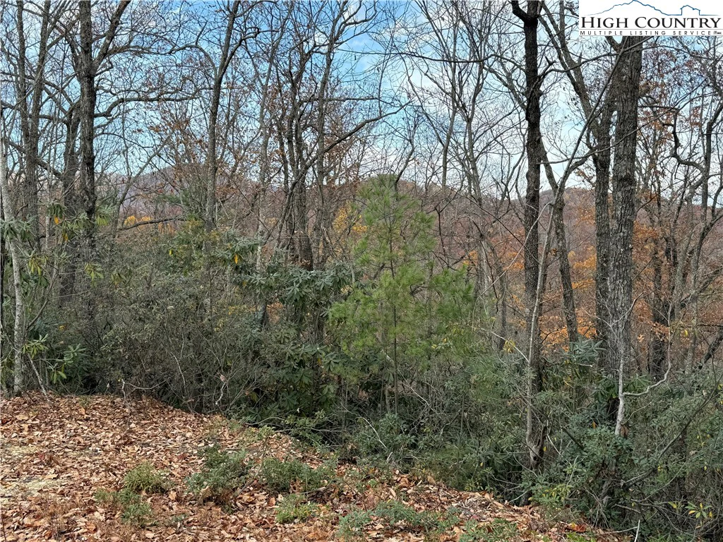 Image number 13 for the current listing