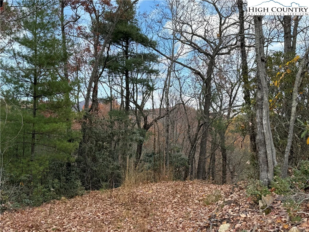 Image number 12 for the current listing