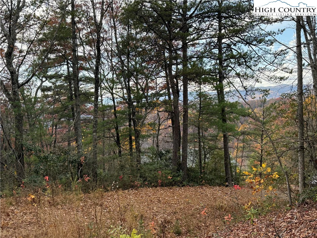Image number 2 for the current listing