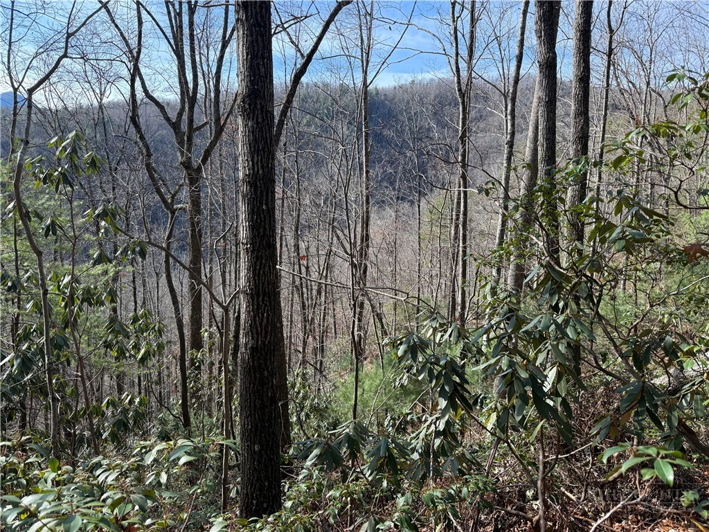 Image number 11 for the current listing
