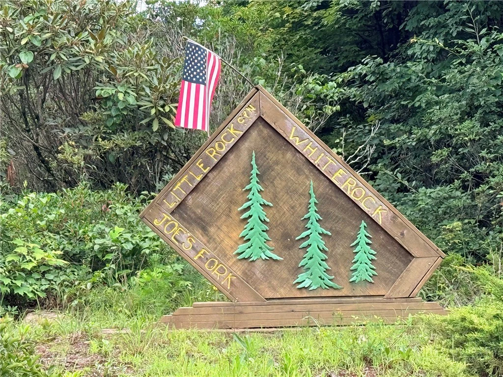 Image number 1 for the current listing