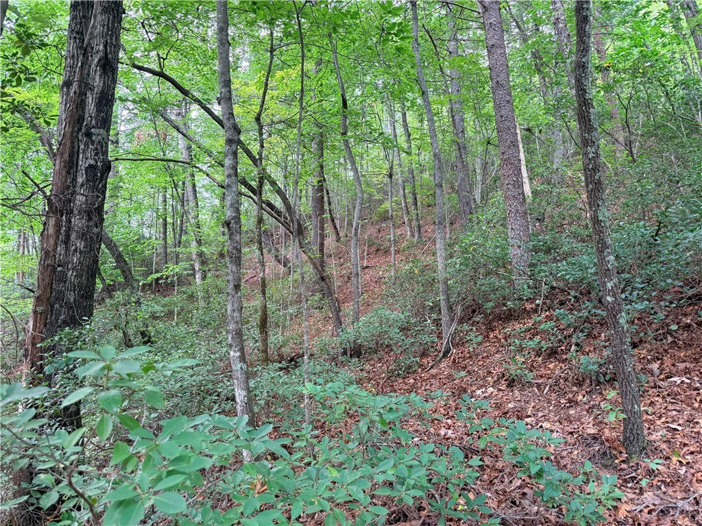 Image number 9 for the current listing