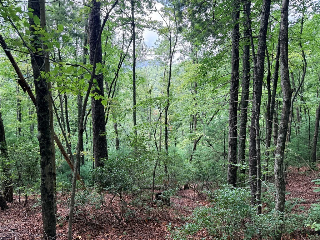 Image number 2 for the current listing