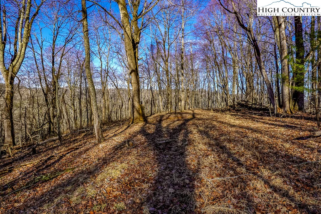 Image number 2 for the current listing