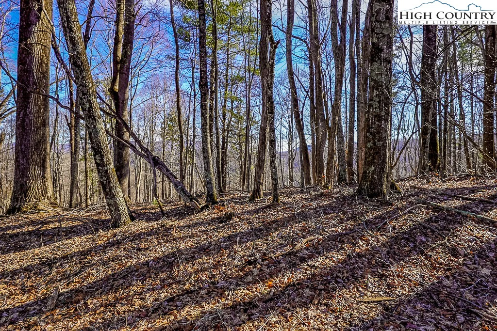 Image number 4 for the current listing