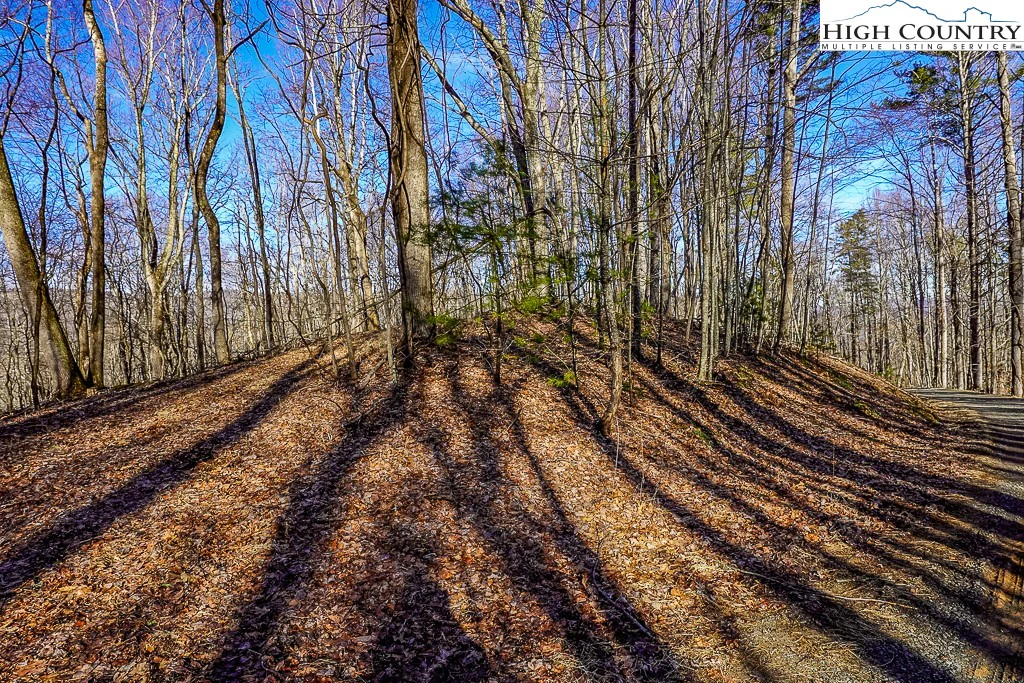 Image number 3 for the current listing