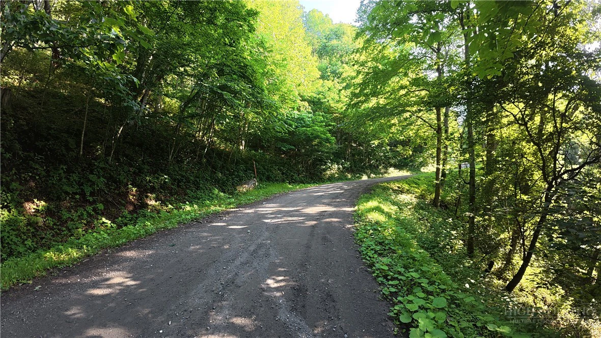 Image number 6 for the current listing