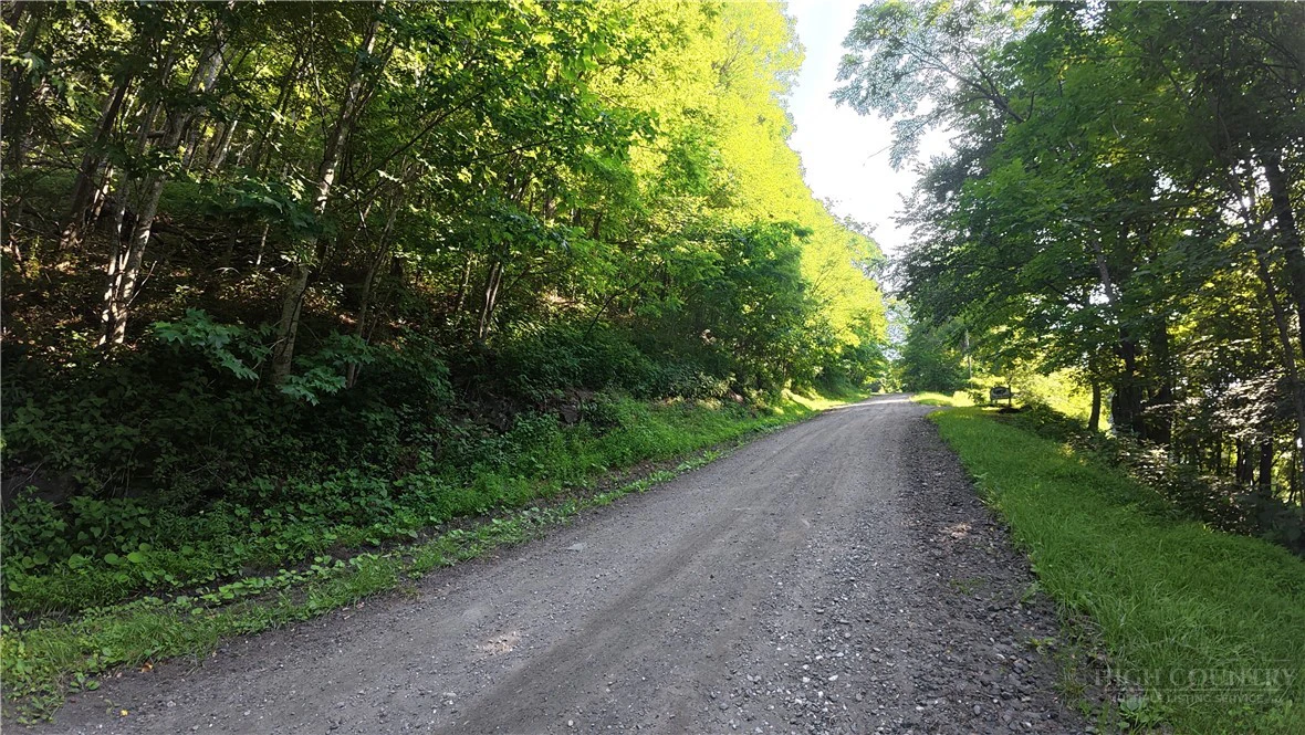 Image number 11 for the current listing