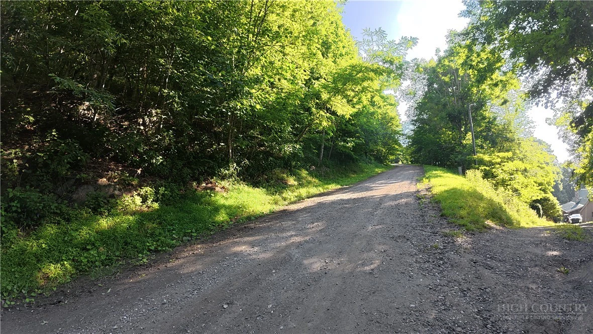 Image number 12 for the current listing