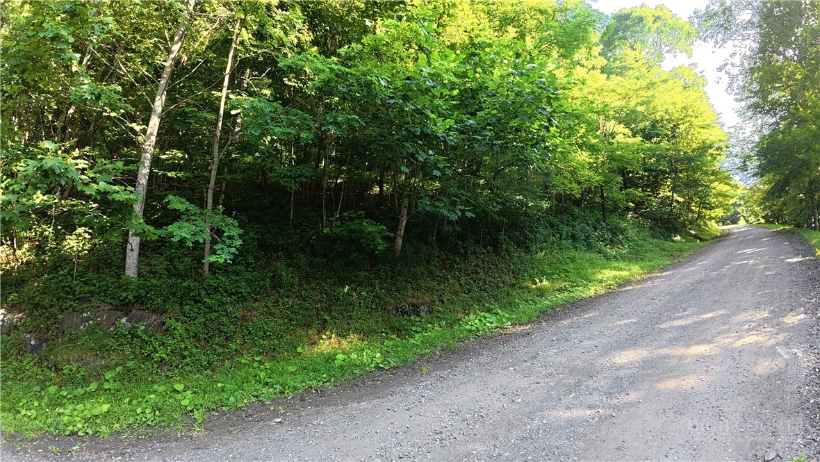 Image number 13 for the current listing