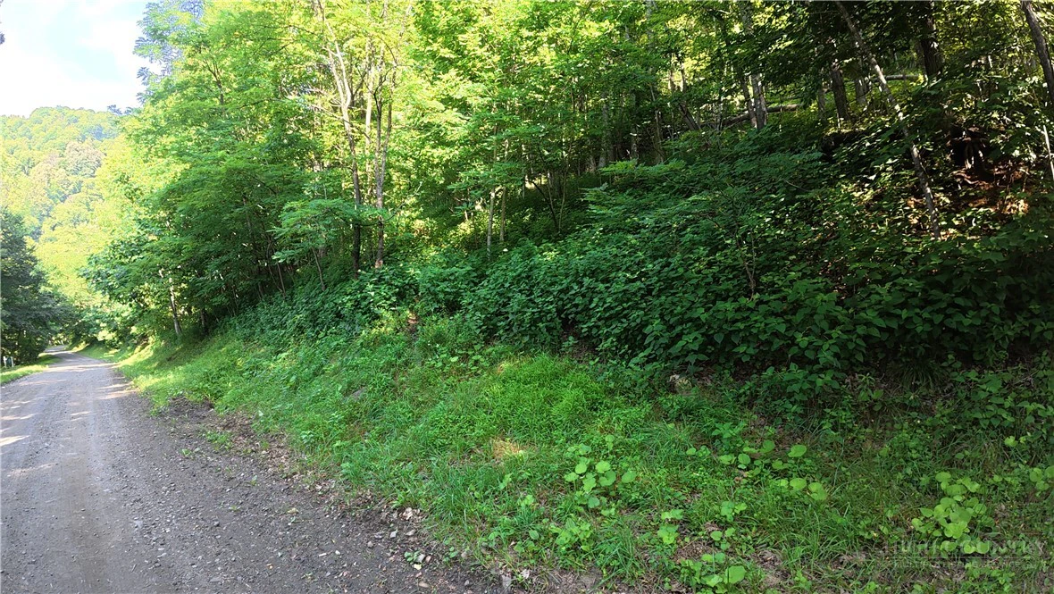 Image number 14 for the current listing