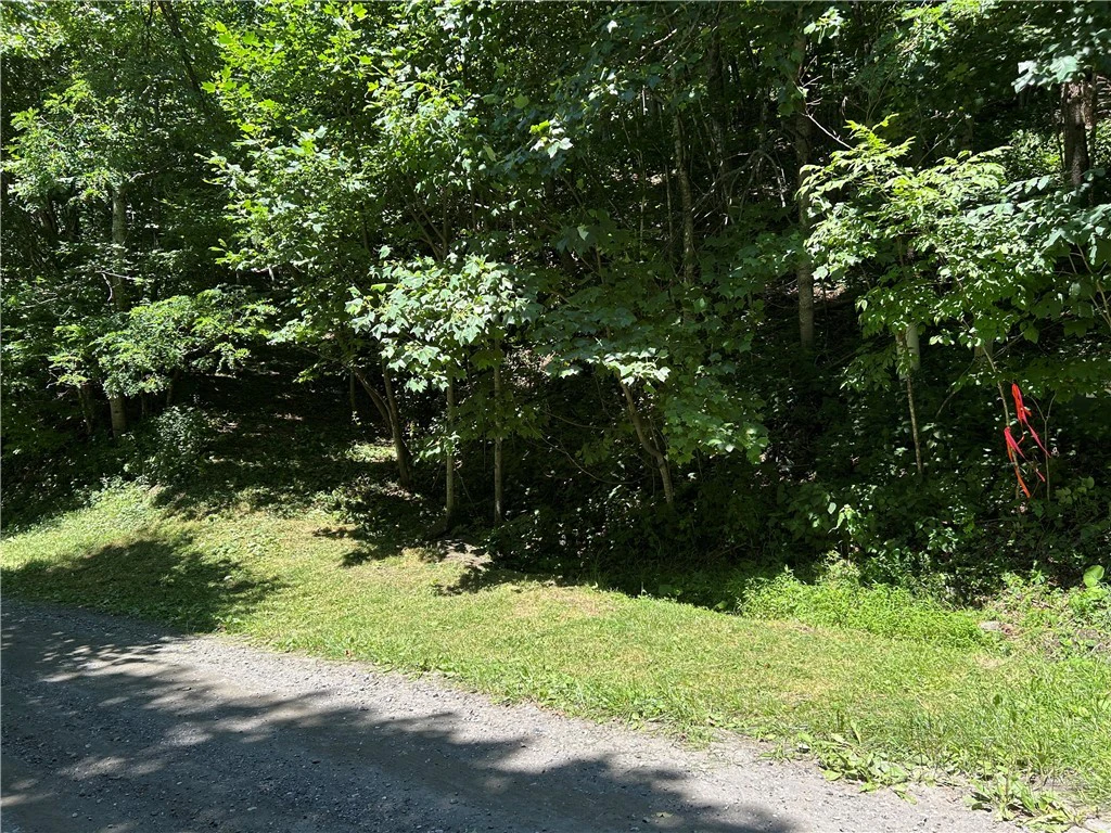 Image number 2 for the current listing
