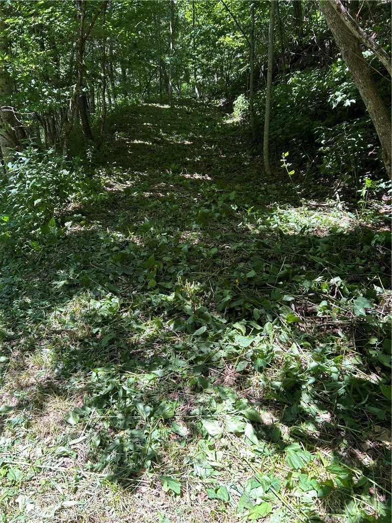 Image number 4 for the current listing