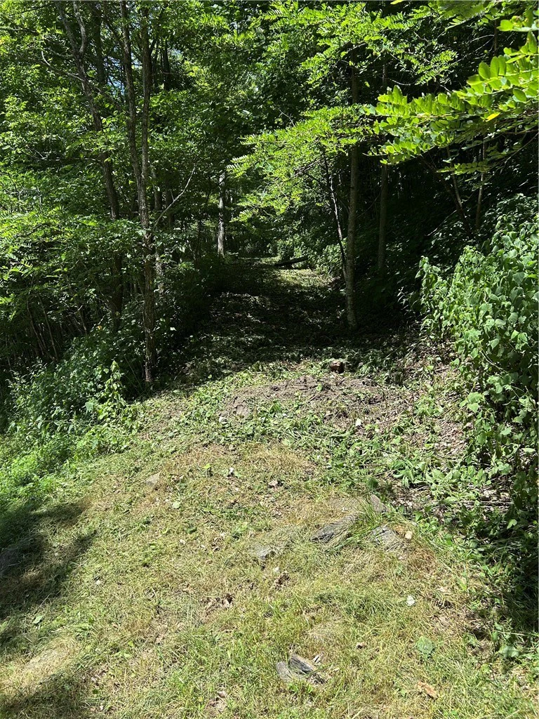 Image number 3 for the current listing