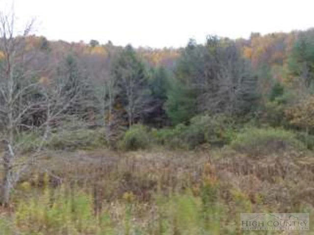 Image number 1 for the current listing