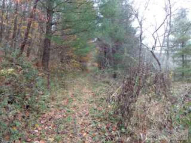 Image number 12 for the current listing