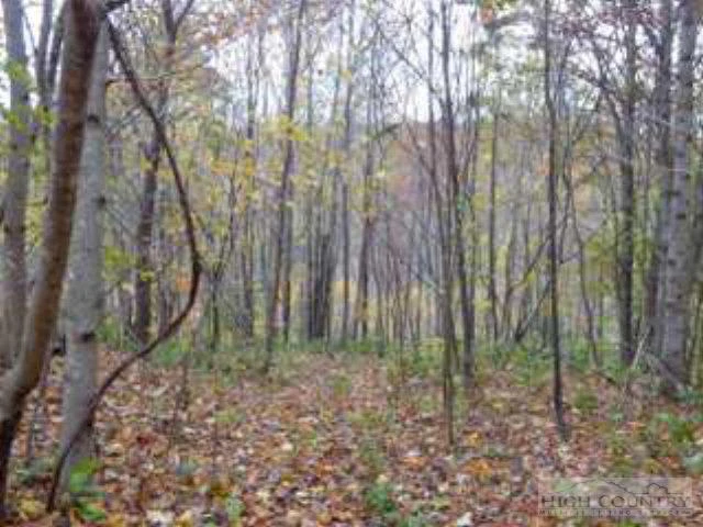 Image number 13 for the current listing