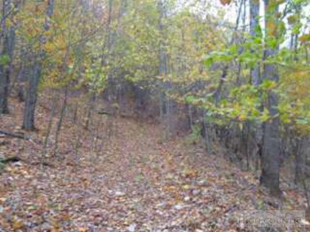 Image number 14 for the current listing