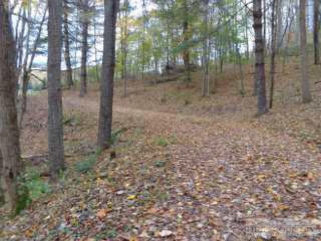 Image number 15 for the current listing