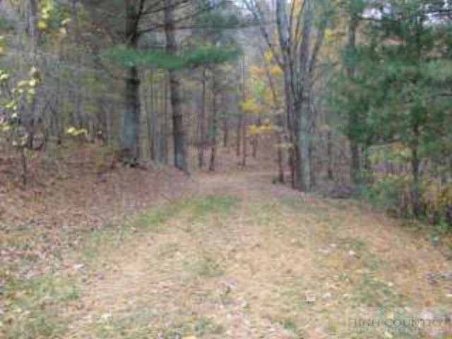 Image number 16 for the current listing