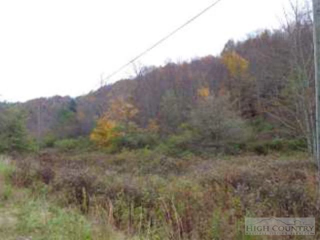 Image number 3 for the current listing