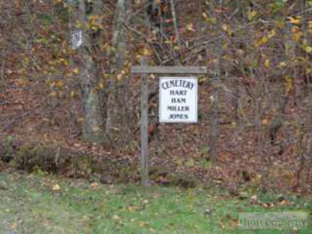 Image number 5 for the current listing