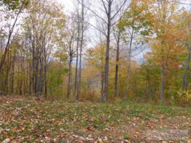 Image number 6 for the current listing