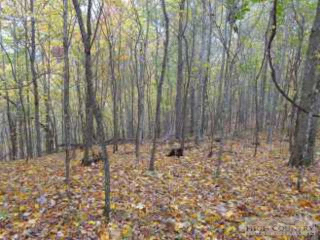 Image number 7 for the current listing