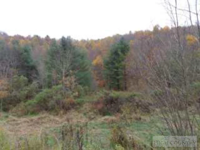 Image number 9 for the current listing
