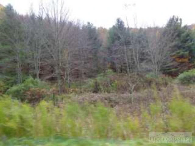 Image number 10 for the current listing