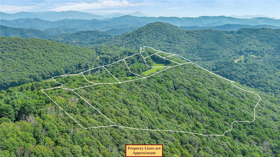 Image number 1 for the current listing
