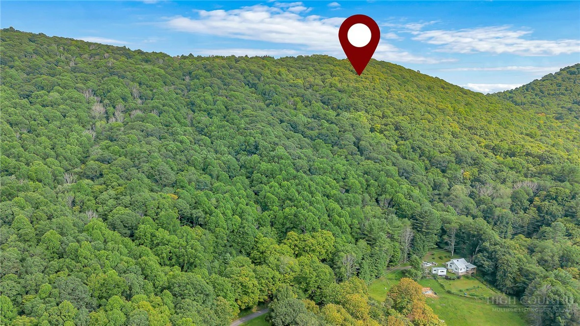 Image number 2 for the current listing
