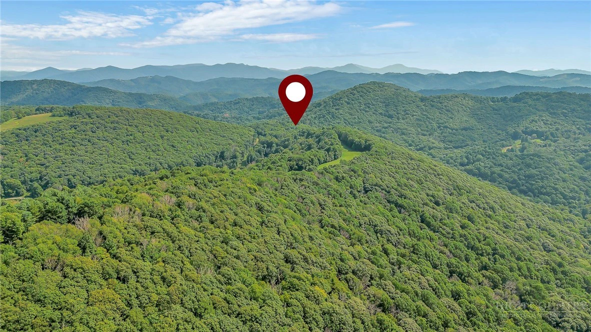 Image number 3 for the current listing