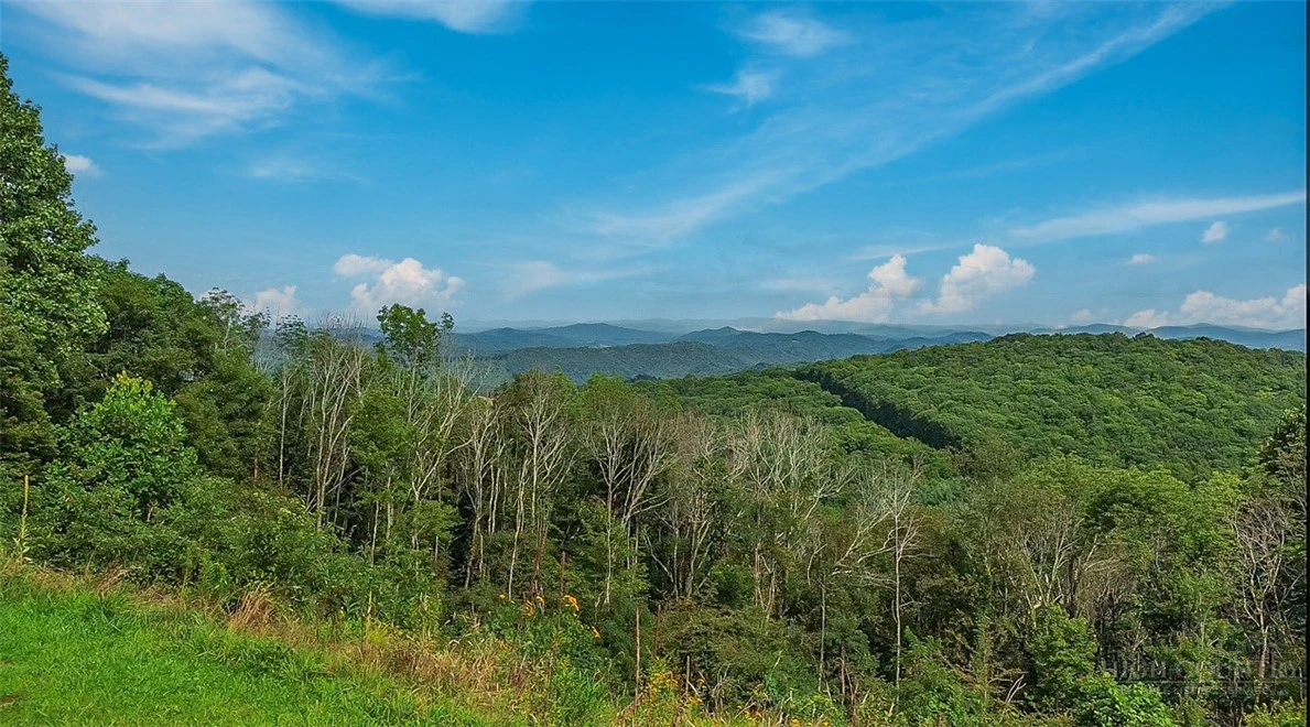 Image number 10 for the current listing
