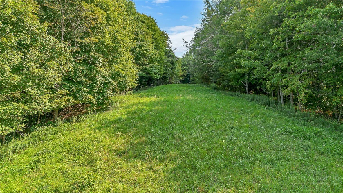 Image number 11 for the current listing