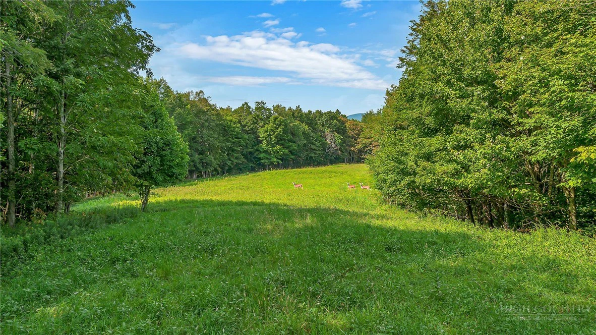 Image number 12 for the current listing