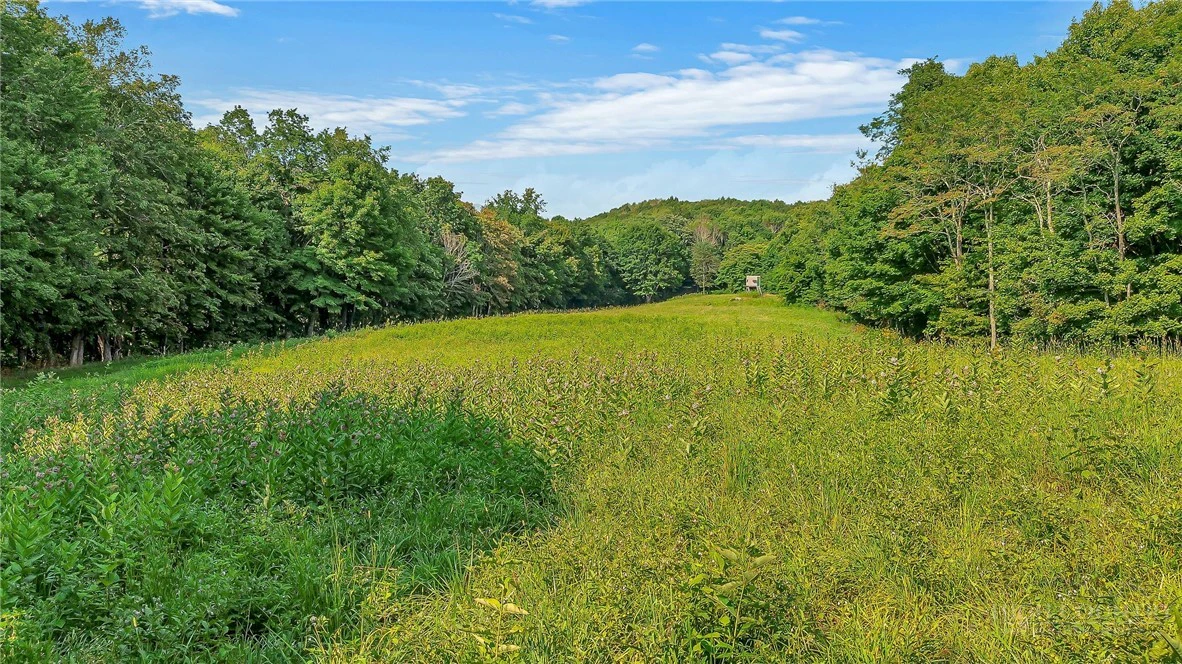 Image number 13 for the current listing