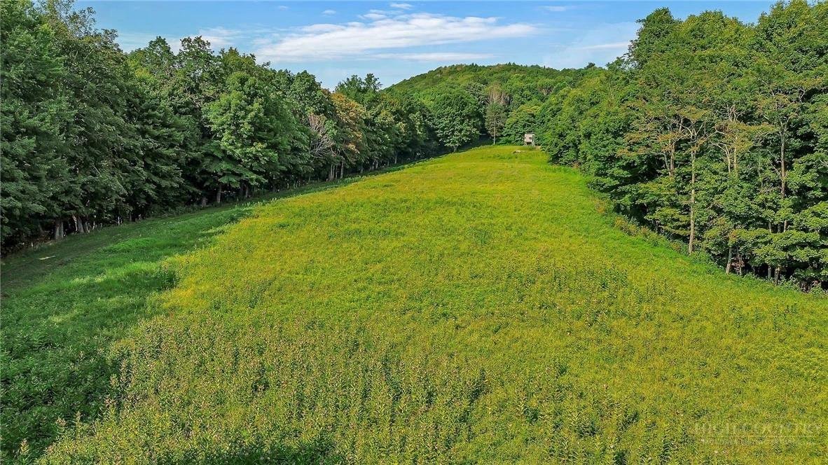 Image number 14 for the current listing