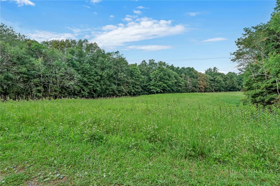 Image number 19 for the current listing