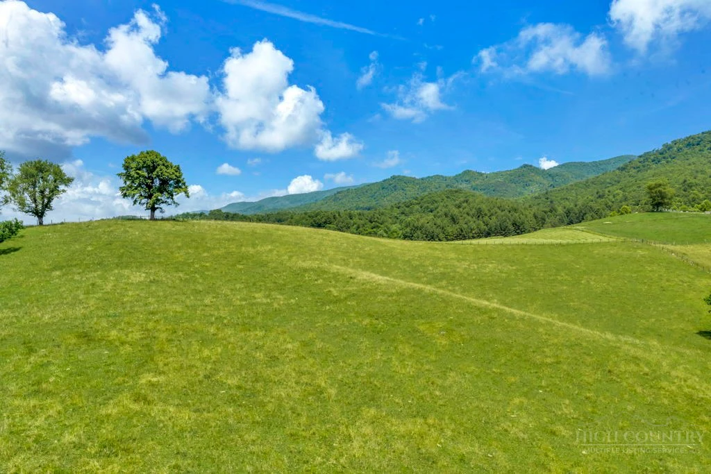 Image number 1 for the current listing