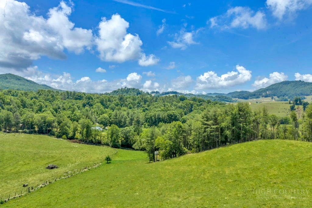 Image number 2 for the current listing