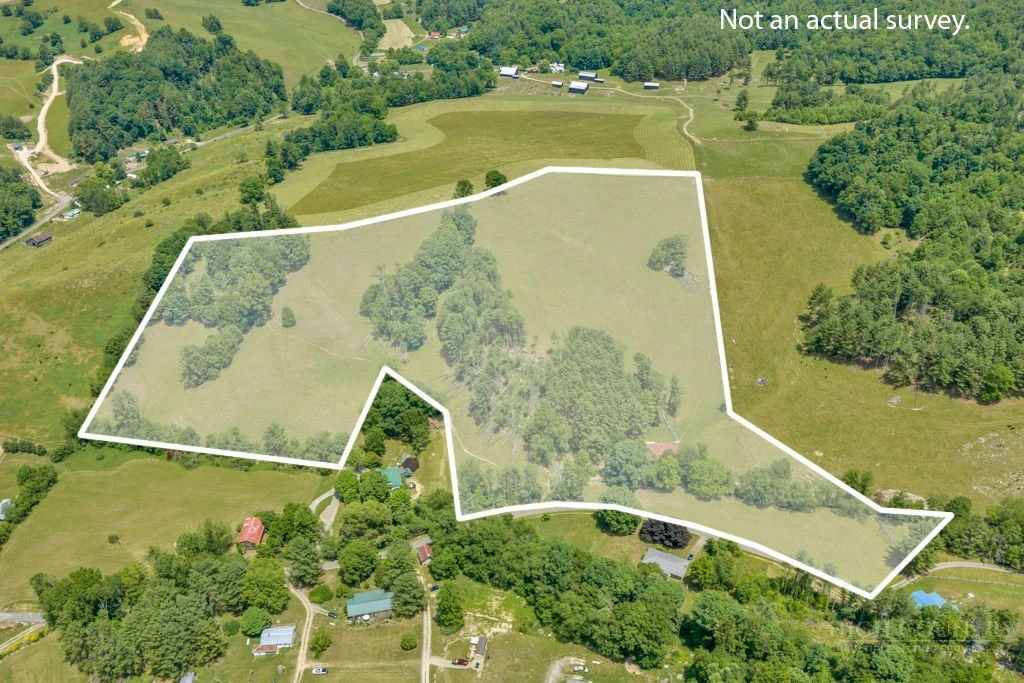 Image number 3 for the current listing
