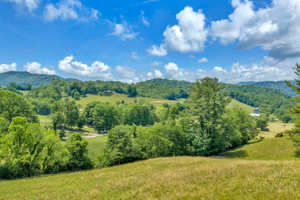 Image number 4 for the current listing