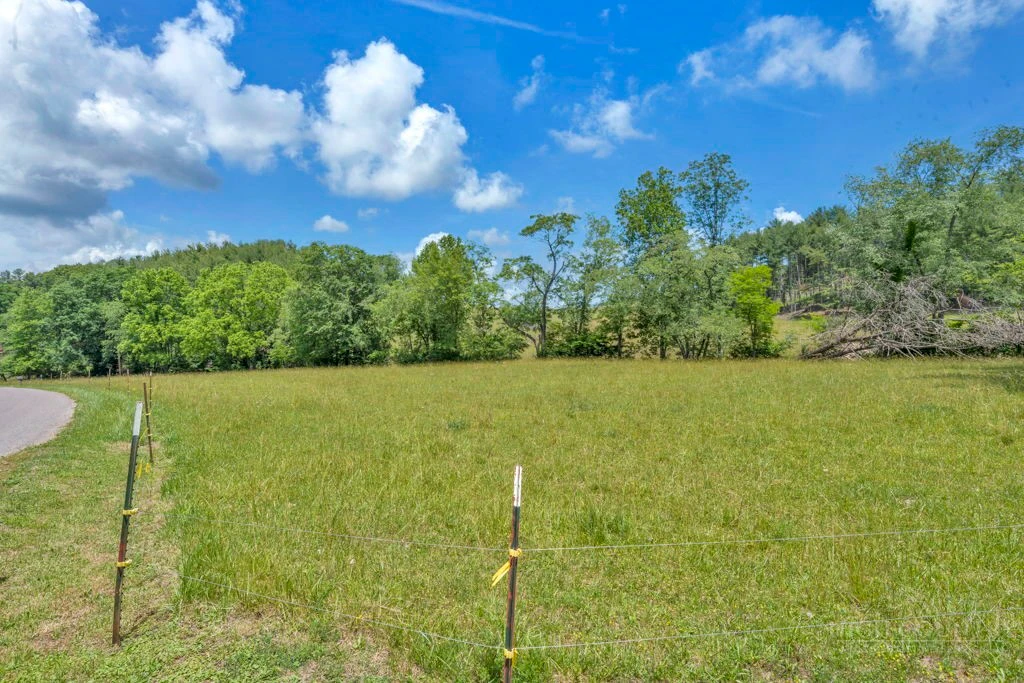 Image number 6 for the current listing