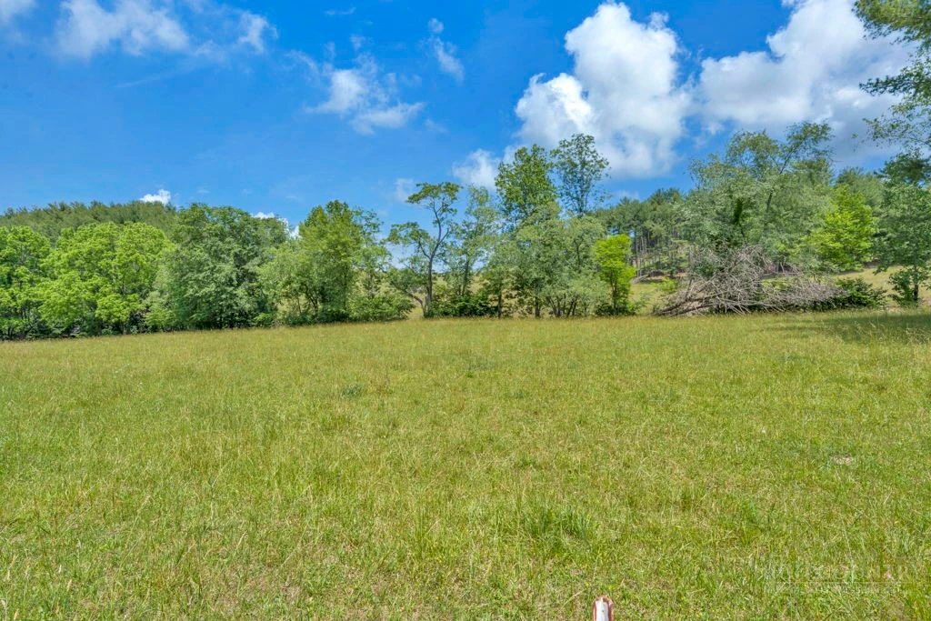 Image number 7 for the current listing