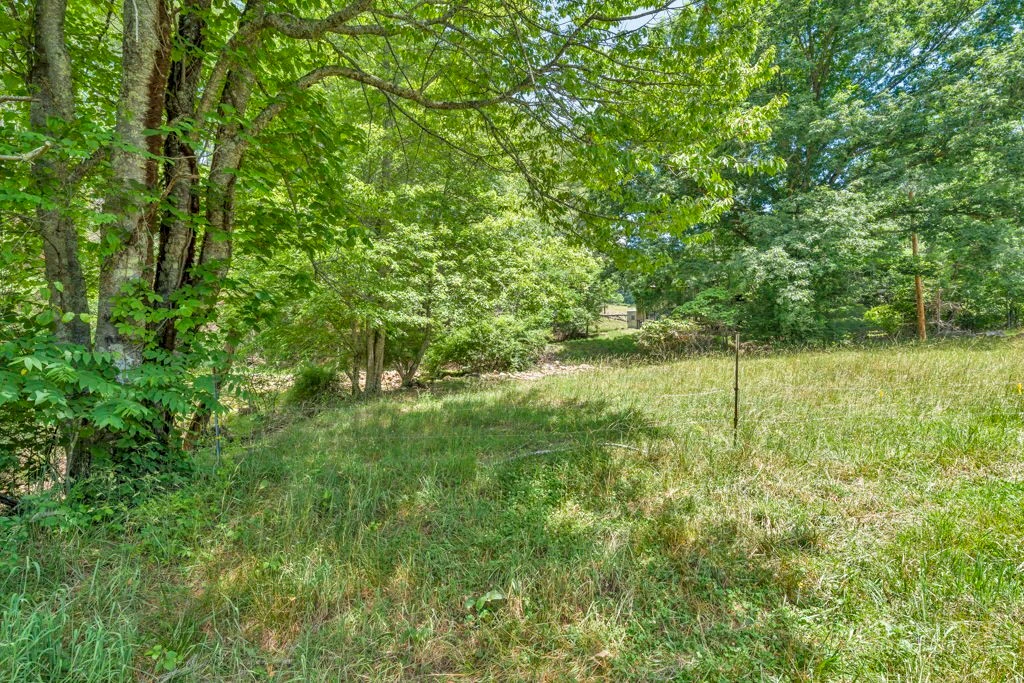 Image number 9 for the current listing